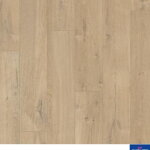 IMU 1856 - Dub mäkký teplo-sivý