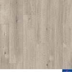 IMU 1858 - Dub šedý so zárezmi od píly